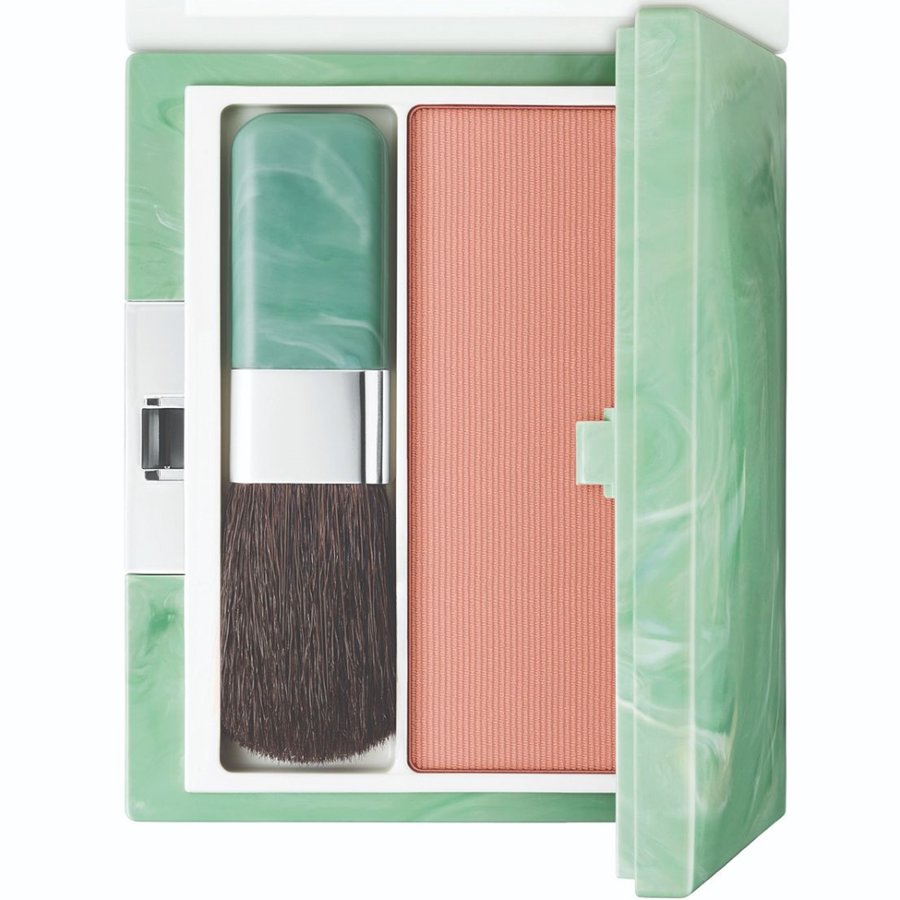 Makeup set with brush and blush in a green case on a white background