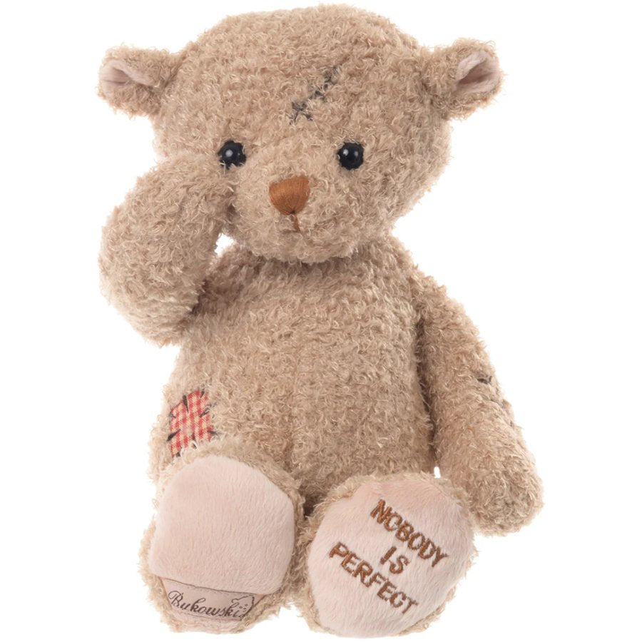 Teddy bear with patches and 'Nobody is perfect' text on a white background