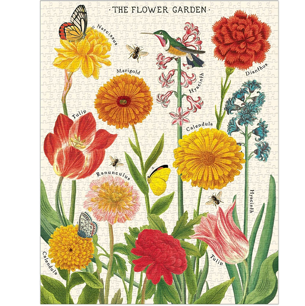 Illustration of a flower garden with various flowers and insects on a white background.