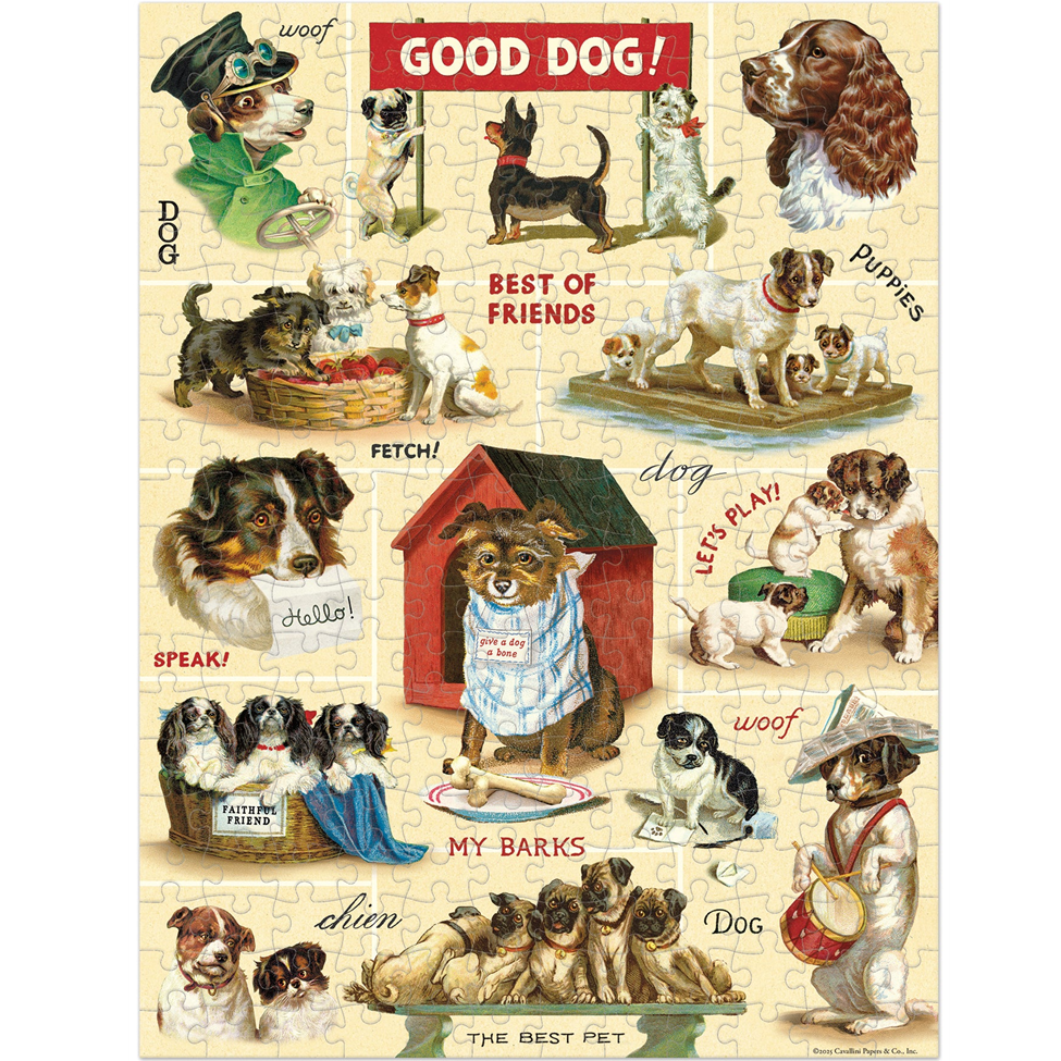 Vintage-style illustration of dogs with various poses and text on a yellow background