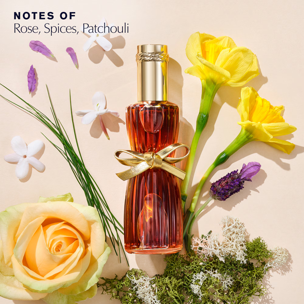 Perfume bottle with flowers and herbs on a beige background