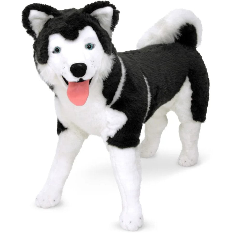 Plush toy husky dog on a white background
