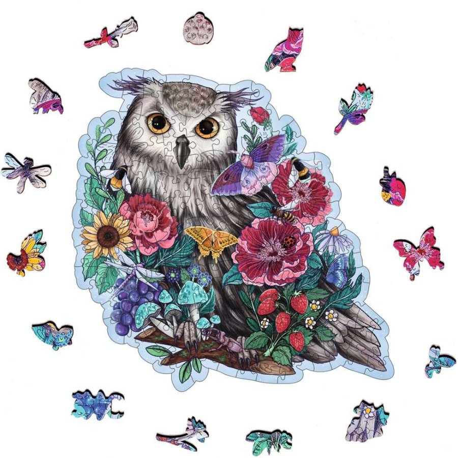Colorful owl and floral design with butterflies on a white background