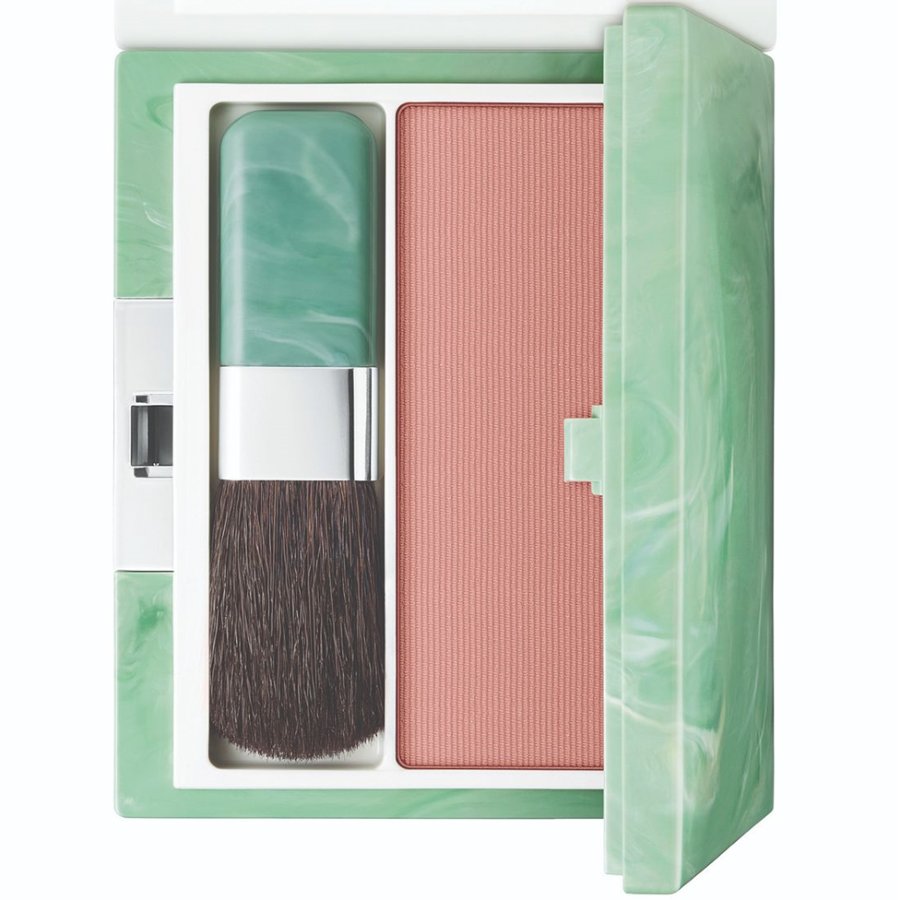 Makeup set with brush and blush in a green case on a white background