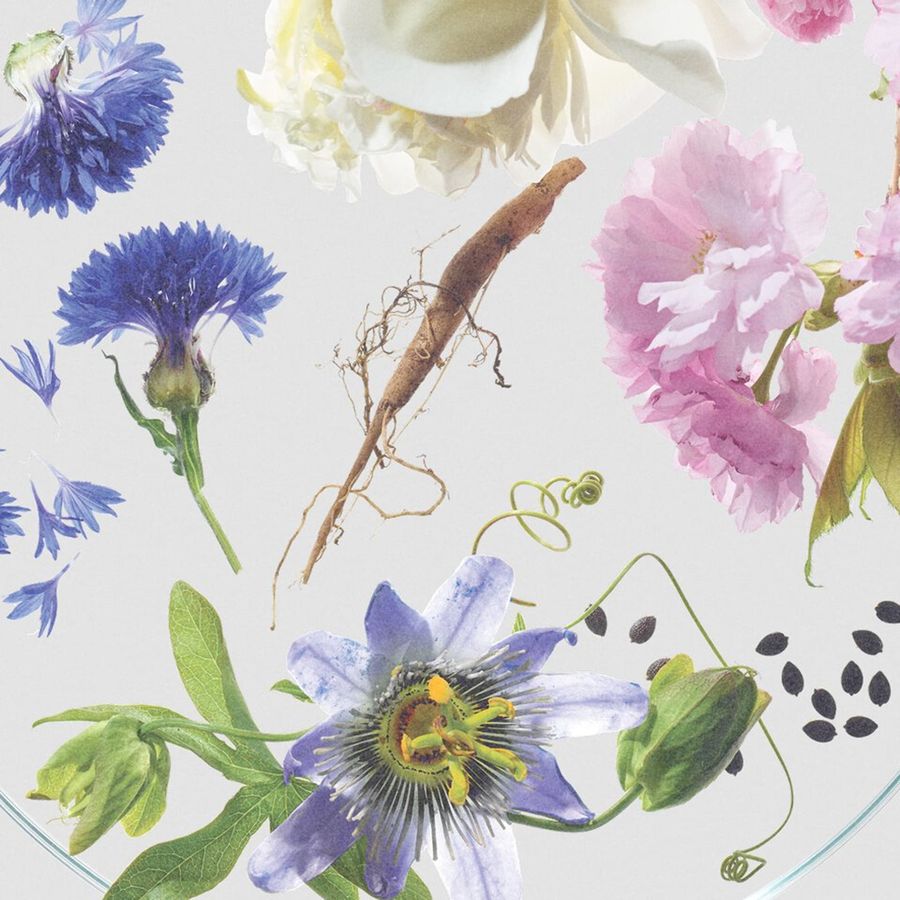 Watercolor botanical pattern featuring blue cornflowers, pink roses, a purple passionflower, green leaves, and a brown root on a light gray background.