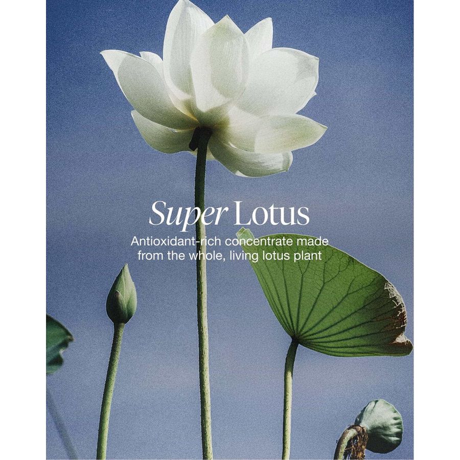 A square product card or box cover featuring a large white lotus flower, green lotus leaves, and a bud against a blue sky background, with the text 'Super Lotus' and smaller descriptive text about antioxidant-rich concentrate from the whole living lotus plant.