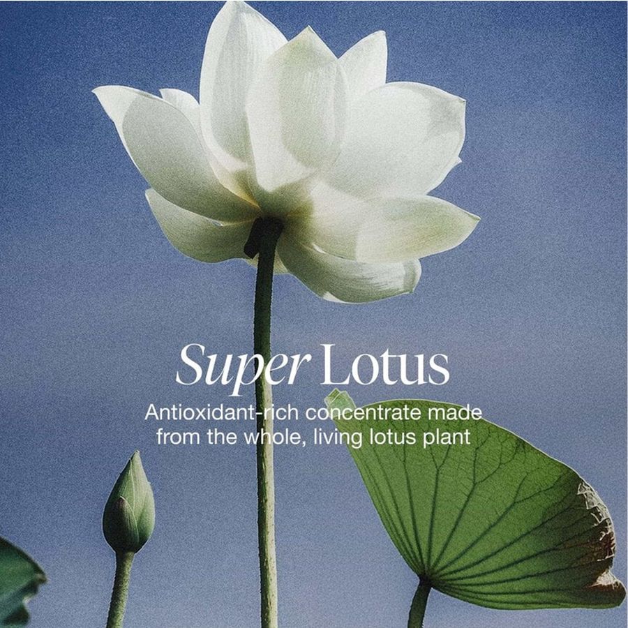 A white lotus flower with green leaves and a bud against a blue sky background, with the text 'Super Lotus' and 'Antioxidant-rich concentrate made from the whole, living lotus plant' overlaid in the center.