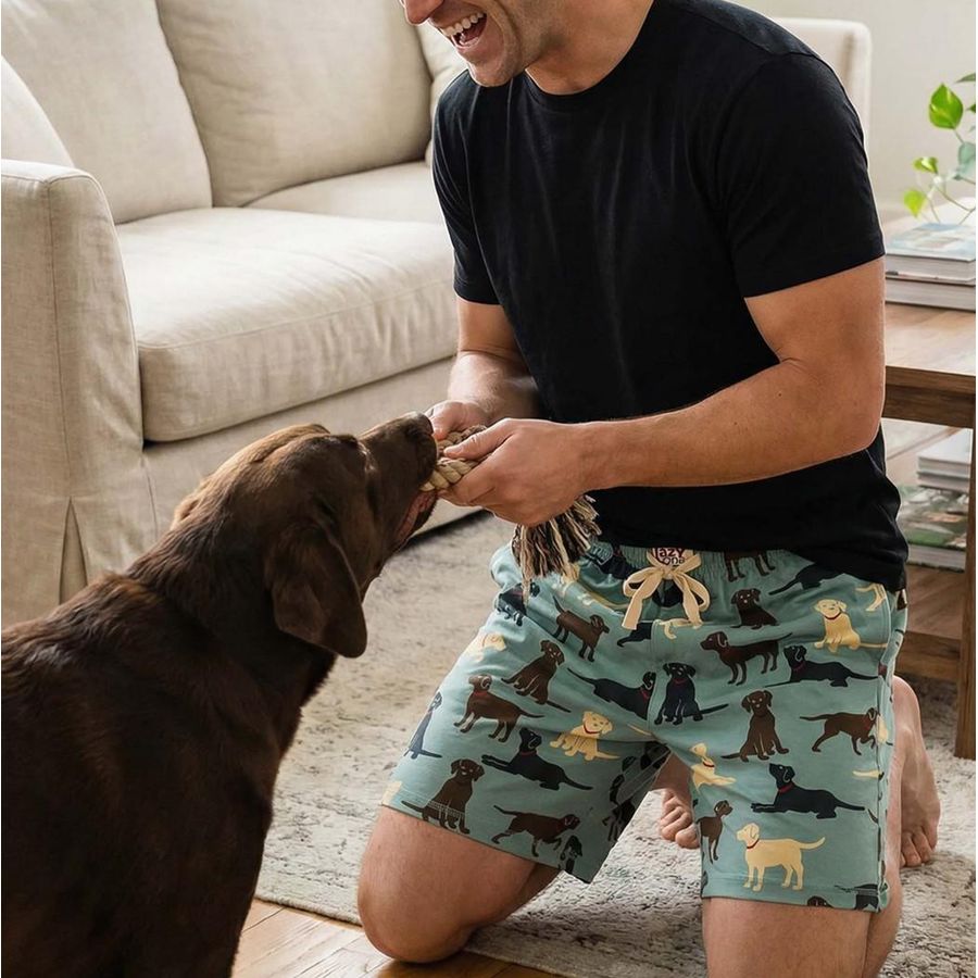 Man in black shirt and dog-print shorts plays tug-of-war with chocolate labrador in living room.