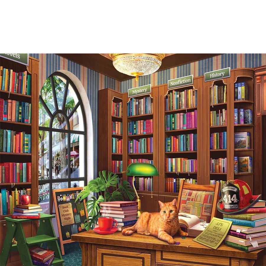 Illustration of a cozy library with bookshelves, a desk, and a cat.